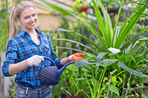 Tower Hill garden maintenance with lush planting