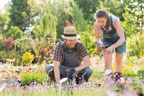 Tidy garden maintenance in Tower Hill with healthy lawn and borders