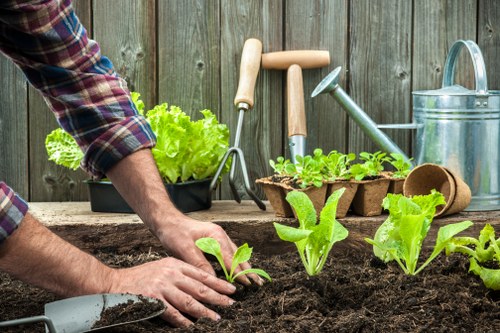 Professional garden maintenance in Tower Hill for neat hedges and planting