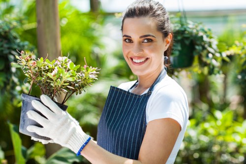 Healthy grass maintenance and mowing in Tower Hill