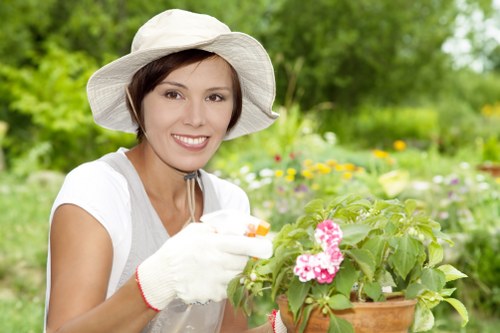 Lawn mowing service in Tower Hill maintaining a residential yard