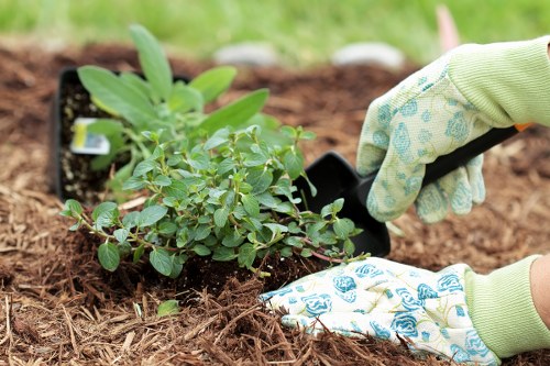 Professional handling of a garden service complaint