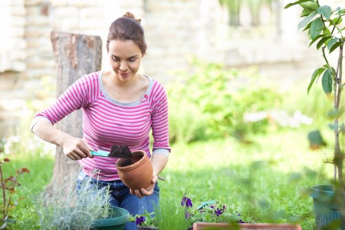 Improving curb appeal with professional lawn care in Tower Hill