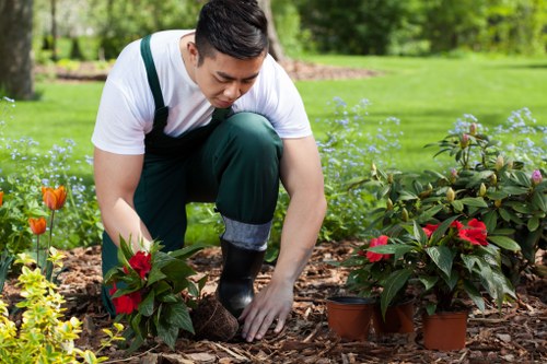 Tower Hill garden maintenance with lawn care and seasonal planting
