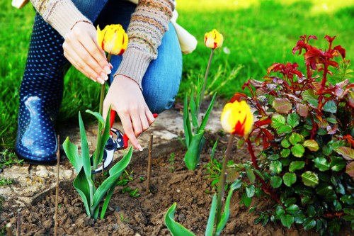 Free quote policy for Gardeners Tower Hill services