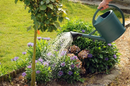 Detailed garden maintenance and landscaping in Tower Hill