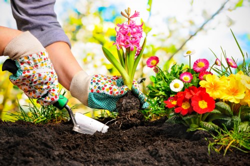 Follow-up stage in a gardening complaints process