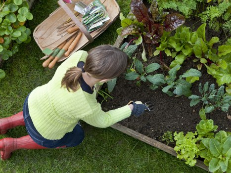 Tower Hill gardening team providing thoughtful outdoor care