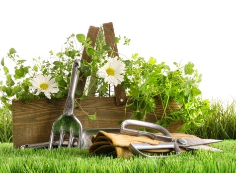 Regular review of health and safety standards in garden work