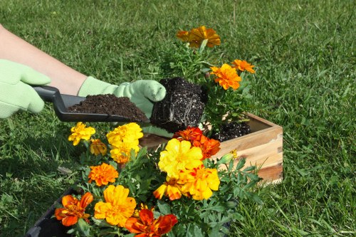 Autumn garden maintenance in Tower Hill with leaf clearance and pruning