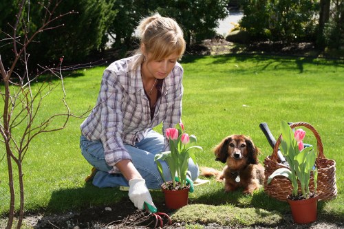 Professional garden maintenance team arranging a booking schedule