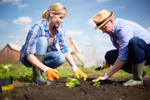 Seasonal garden care and planting in Tower Hill