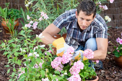 Seasonal lawn mowing in Tower Hill with a well-kept garden