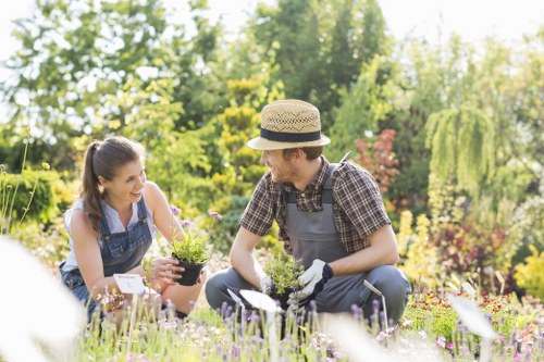 Lawn care and seasonal garden maintenance in Tower Hill